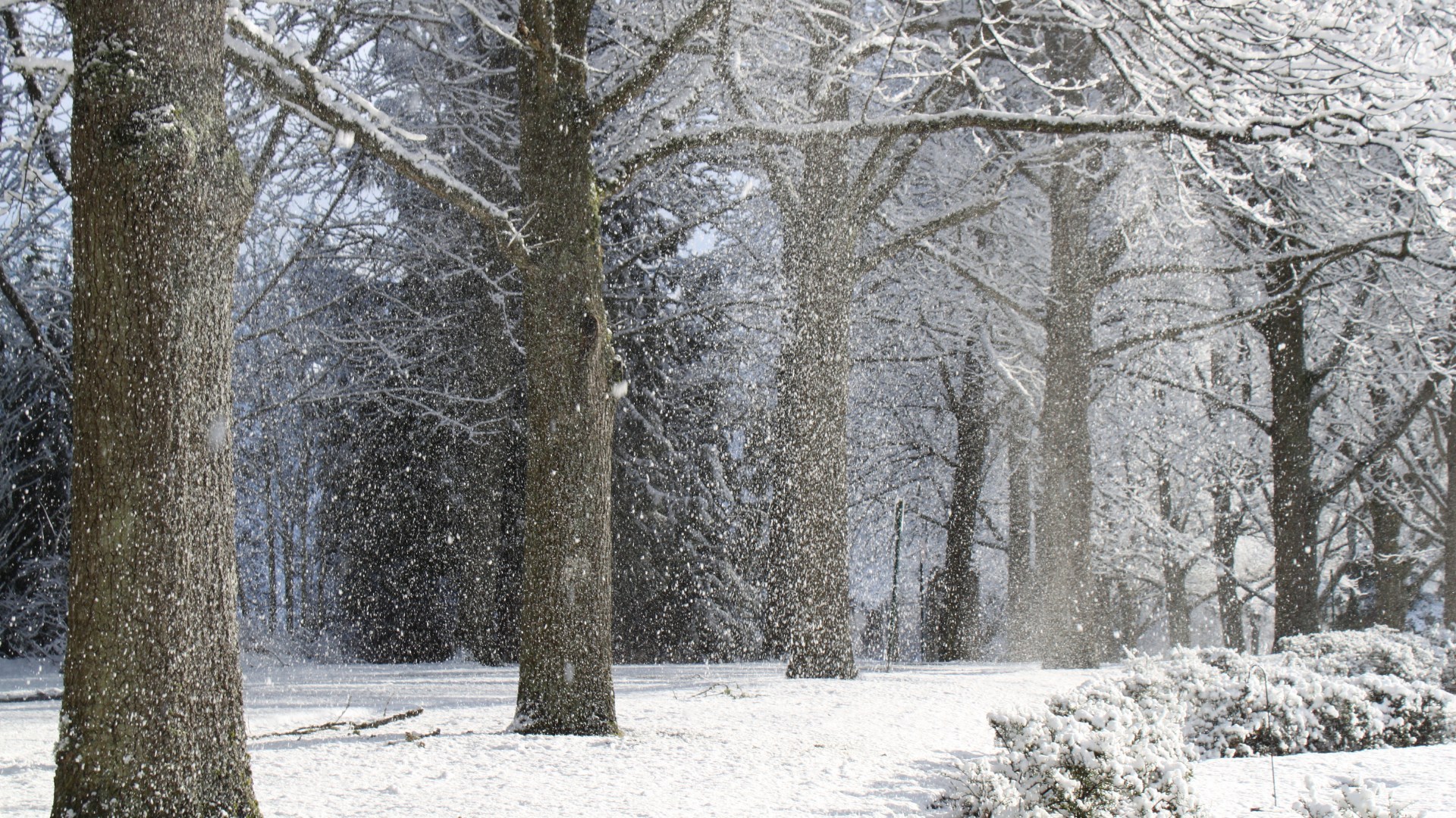 women's retreat at Jester Park