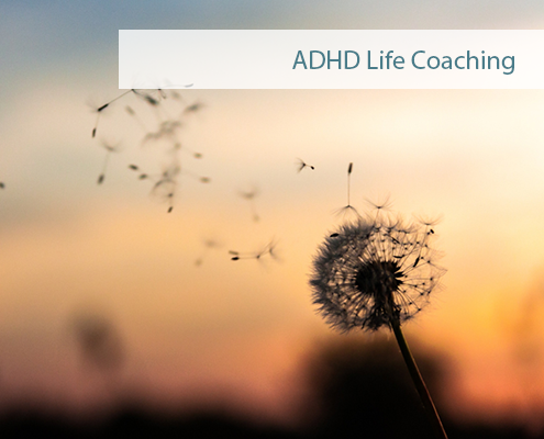 ADHD Coaching